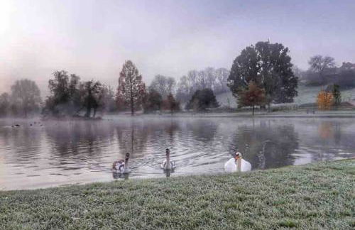 Large historic family home nr Longleat and Bath - Foto 28