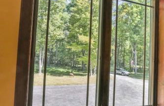 Catskills retreat - ATV, Hot tub, hiking, fishing - Foto 30