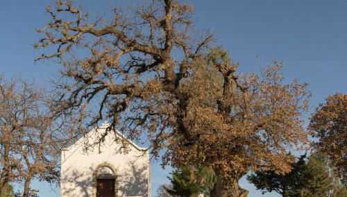 Venerato Villas Ampela & Apolonia, with Pool, Spa Whirlpool & Heritage, By ThinkVilla - Foto 3