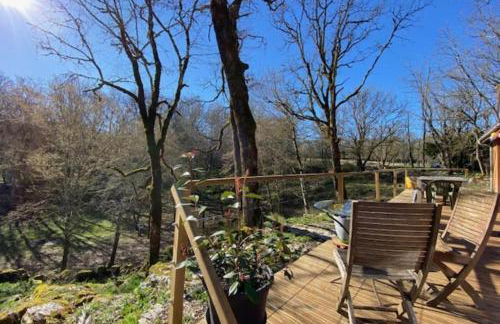 La jonquille - Foto 7