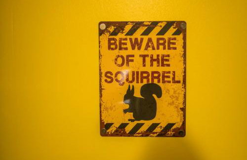 12 & 14 On the Hill Aberfoyle, twin holiday cottages in Scenic Loch Lomond & Trossachs National Park - Foto 10