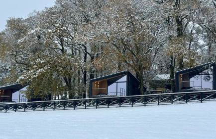 The Squirrel - Foto 21