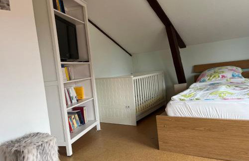 Eiderperle - Foto 54