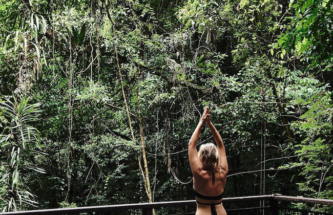 Daintree Ecolodge - Photo 20