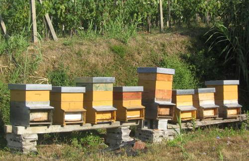 Agriturismo La Sarticola - Foto 20