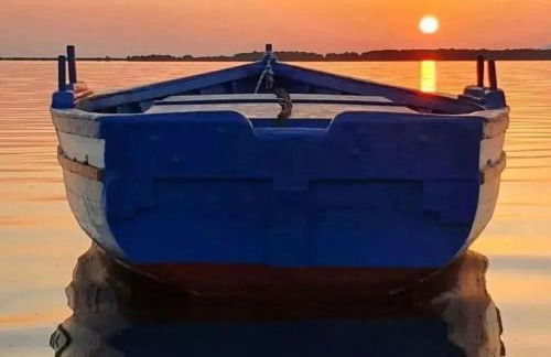 Fiore di Marte - Foto 27