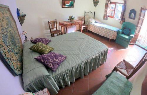 Casa Pedregosa Bubión - Photo 31