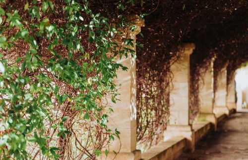 Masseria Ancella - Foto 38