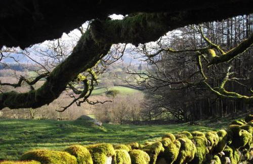 Pheasant Lodge Scottish Borders - Foto 25