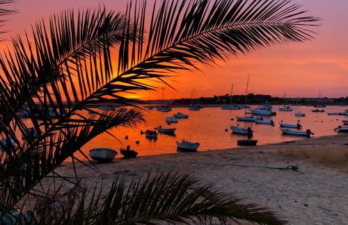 Quinta Nova 103 - Foto 14