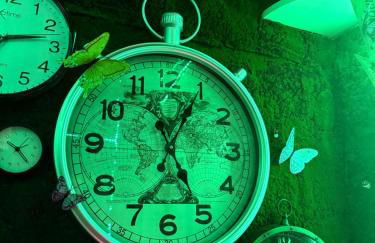 La Belle et le Nooki - Foto 52