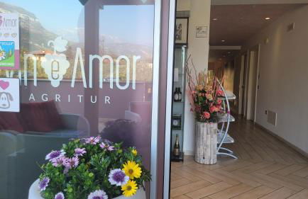 Agriturismo Vin e Amor - Photo 11