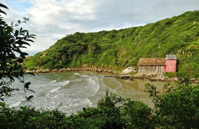 Randonnée à Praia dos Amores et Praia D'agua - Photo 5