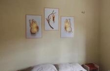 Casa do paraíso - Foto 15