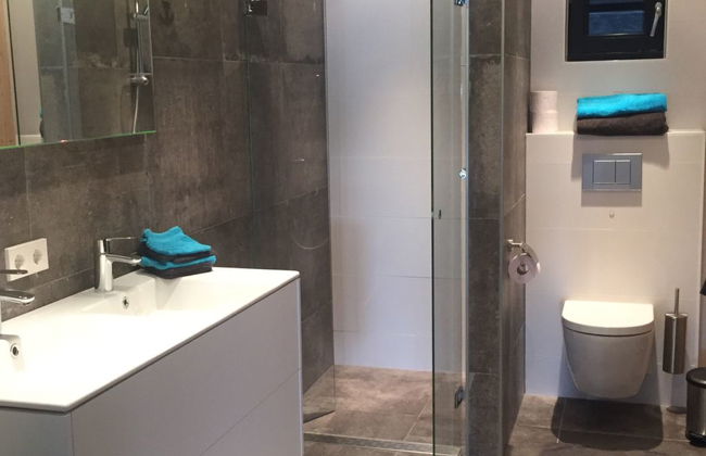 5 bedroom House in Tholen with sauna and hot tub - Photo 19