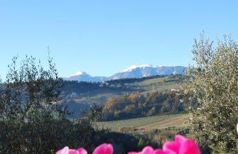 Agriturismo Magna Mater Agriculturae - Foto 30