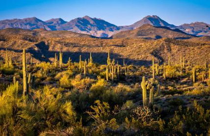 Rio Rancho Verde Two Bedroom Suite - Foto 19