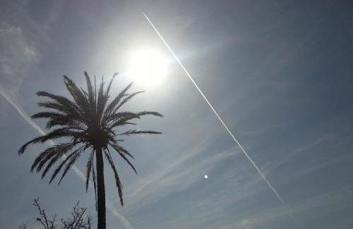 Agroturismo Finca Son Sala - Photo 13