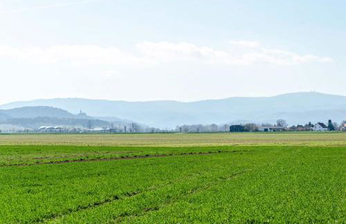 Ferienhaus am Park - Foto 32