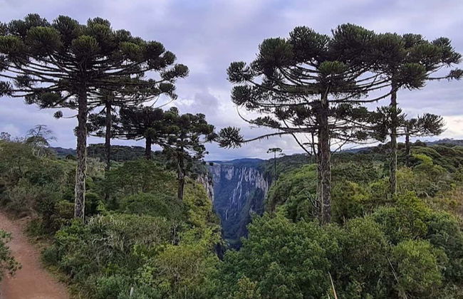 Itaimbezinho Canyon Day Trip - Photo 6