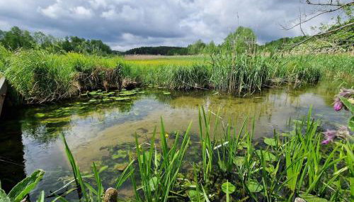 Dom wakacyjny w Lubianie - Foto 2
