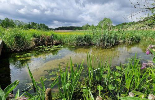 Dom wakacyjny w Lubianie - Foto 2