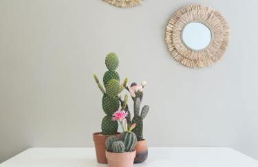 Apartamentos Martalia Namar centro - Photo 39