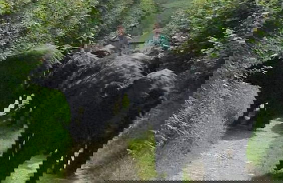 Relax in Sunset View Cottage on Cwmiar Farm - Photo 11