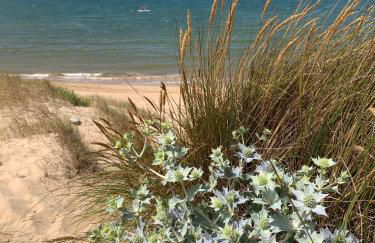 Bela Baïa - Photo 36