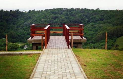 LD House- Bananeiras - Photo 67