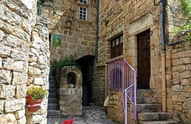 Ste ENIMIE GITE terrasse privative vue imprenable - Foto 12