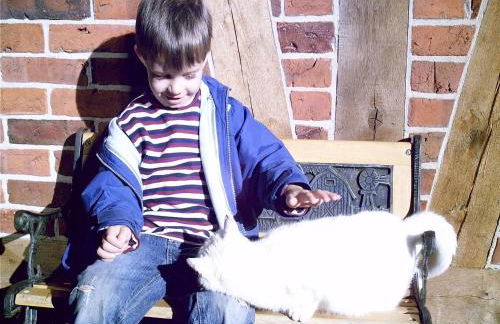 Spacious Apartment With Garden - Foto 21