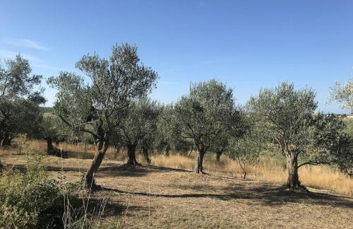 Villa lavanda - Foto 40