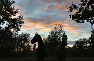 La Vayssade - Grand Gîte de charme - 14 pers - Piscine & Jacuzzi - Photo 62