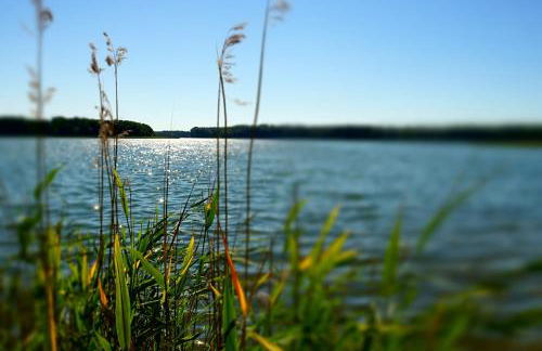 Apartment Am Lübbesee - Photo 7