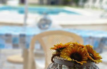 La rosa dell'Etna - Foto 9