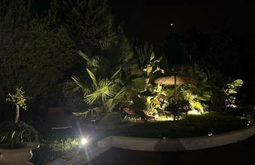 Willy coccon d'amour - Foto 26