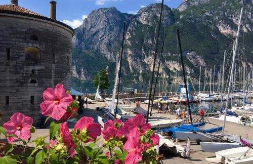 Le peonie - Photo 38