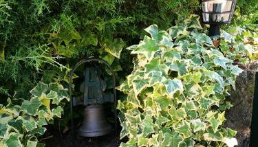 A Casa da Fonte - Foto 3, Garden view