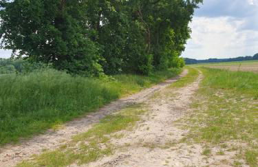 Ferienwohnung Claudia - Foto 5