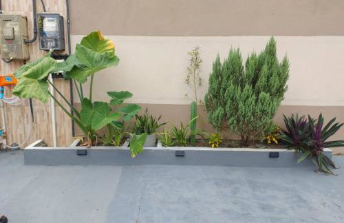 Recanto Morada Amazônica - Foto 12