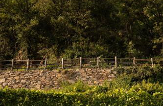 Pergola Residence - Foto 69