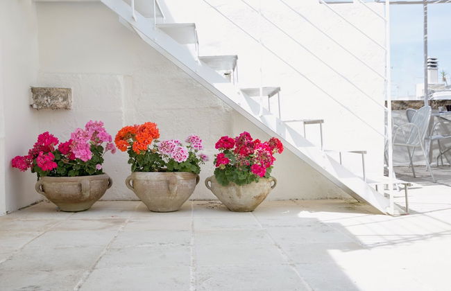 Domus Dejana - Foto 27