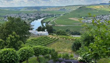 Ferienwohnung "Auszeit Im alten Weinberg" - Foto 3