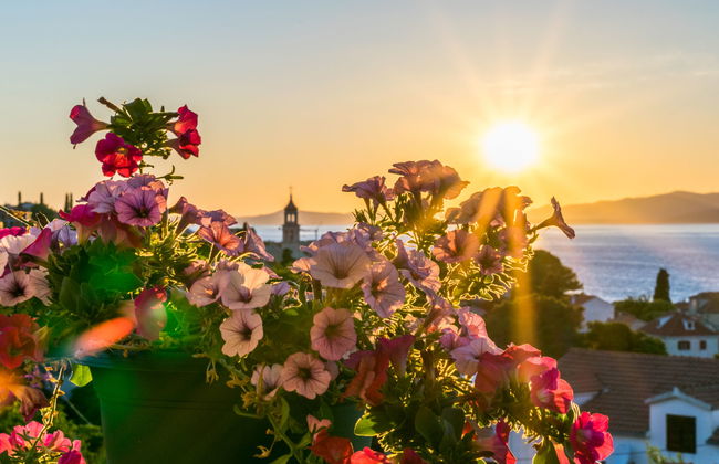 Villa 2 Pools - Foto 28