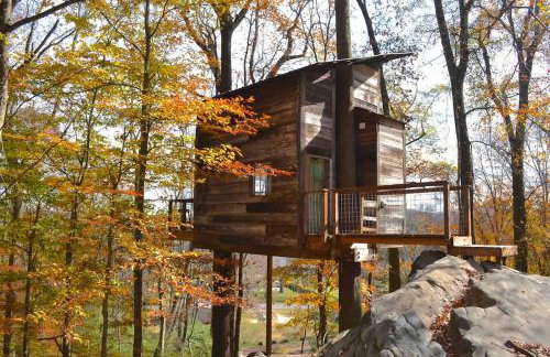 Treetop Hideaways: Luna Loft Treehouse - Foto 13