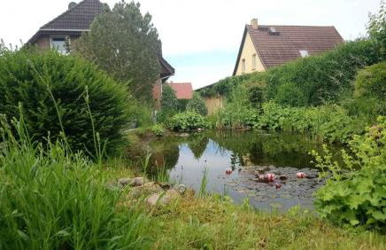 Ferienwohnung Teschow - Foto 18