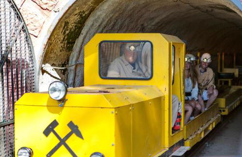 Hennen-Nest - Foto 32