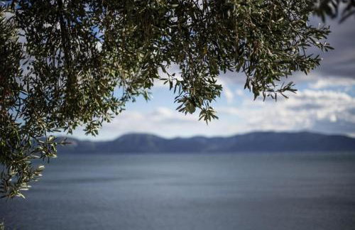 Apartments Ante - Foto 10