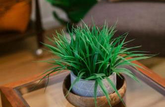 Classic & Cozy Apartments - Parking & Close to DW - Foto 49